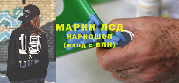 шишки Аркадак
