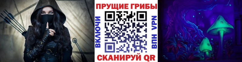 Псилоцибиновые грибы Cubensis  Ростов 